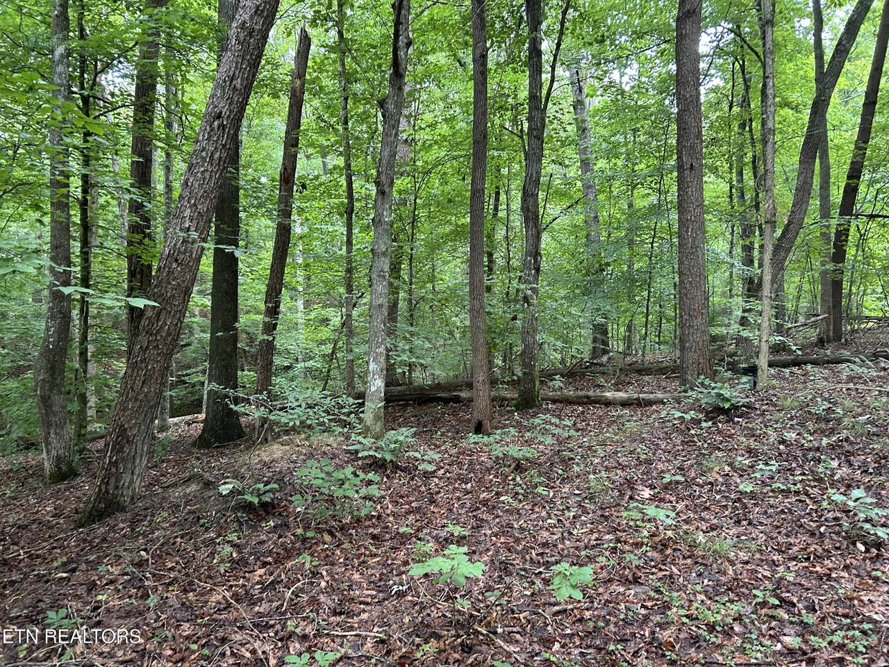 223 West Snowflake Rd - Photo 1