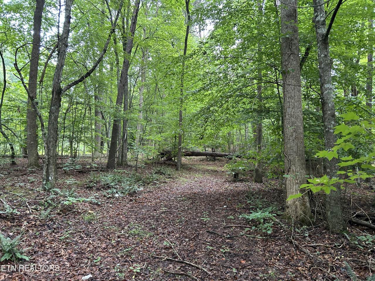 https://bt-photos.global.ssl.fastly.net/kaar/1280_boomver_1_1347172-2.jpg