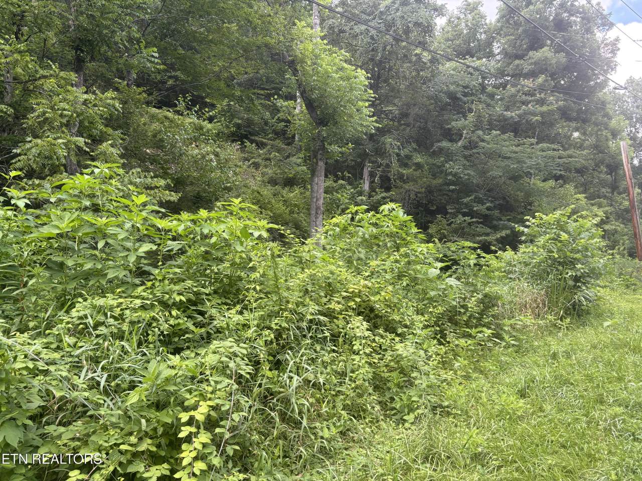 https://bt-photos.global.ssl.fastly.net/kaar/1280_boomver_1_1347223-2.jpg