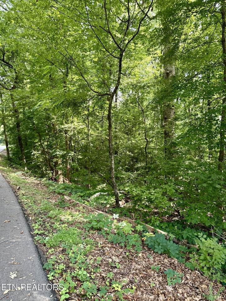 0 Edgewood Drive - Photo 1