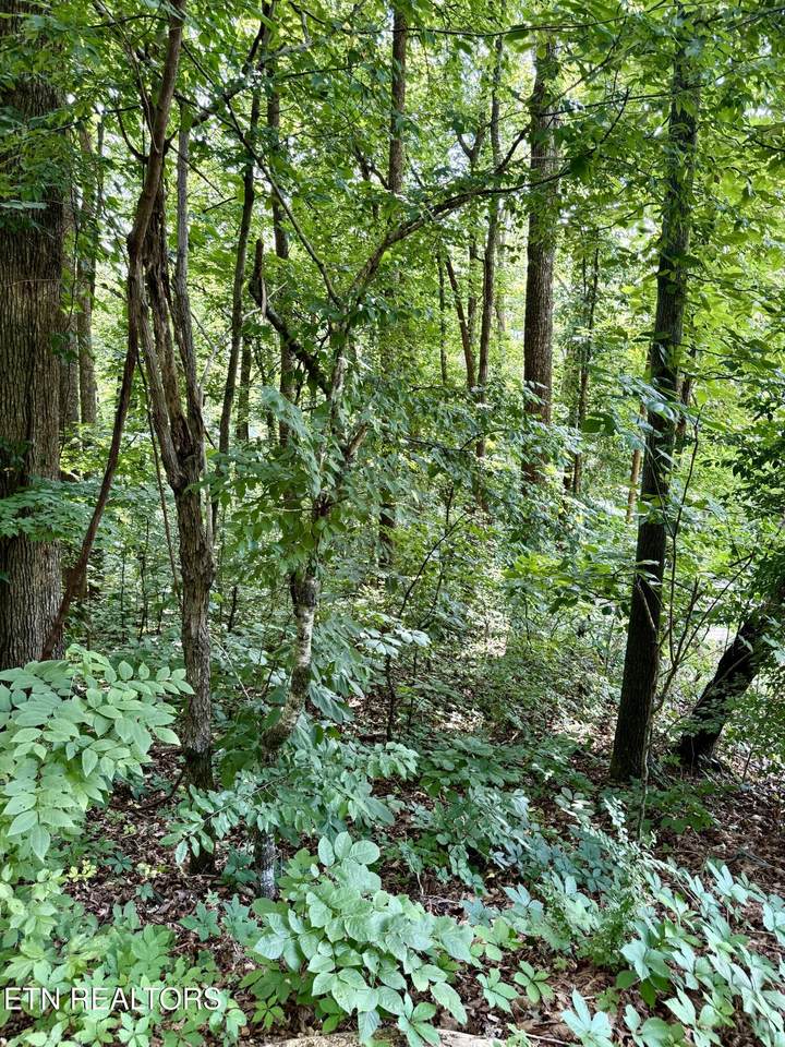https://bt-photos.global.ssl.fastly.net/kaar/1280_boomver_1_1347294-2.jpg