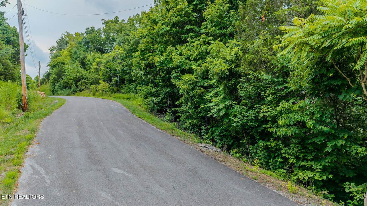 Lot 35 Fishtail Cove - Photo 1