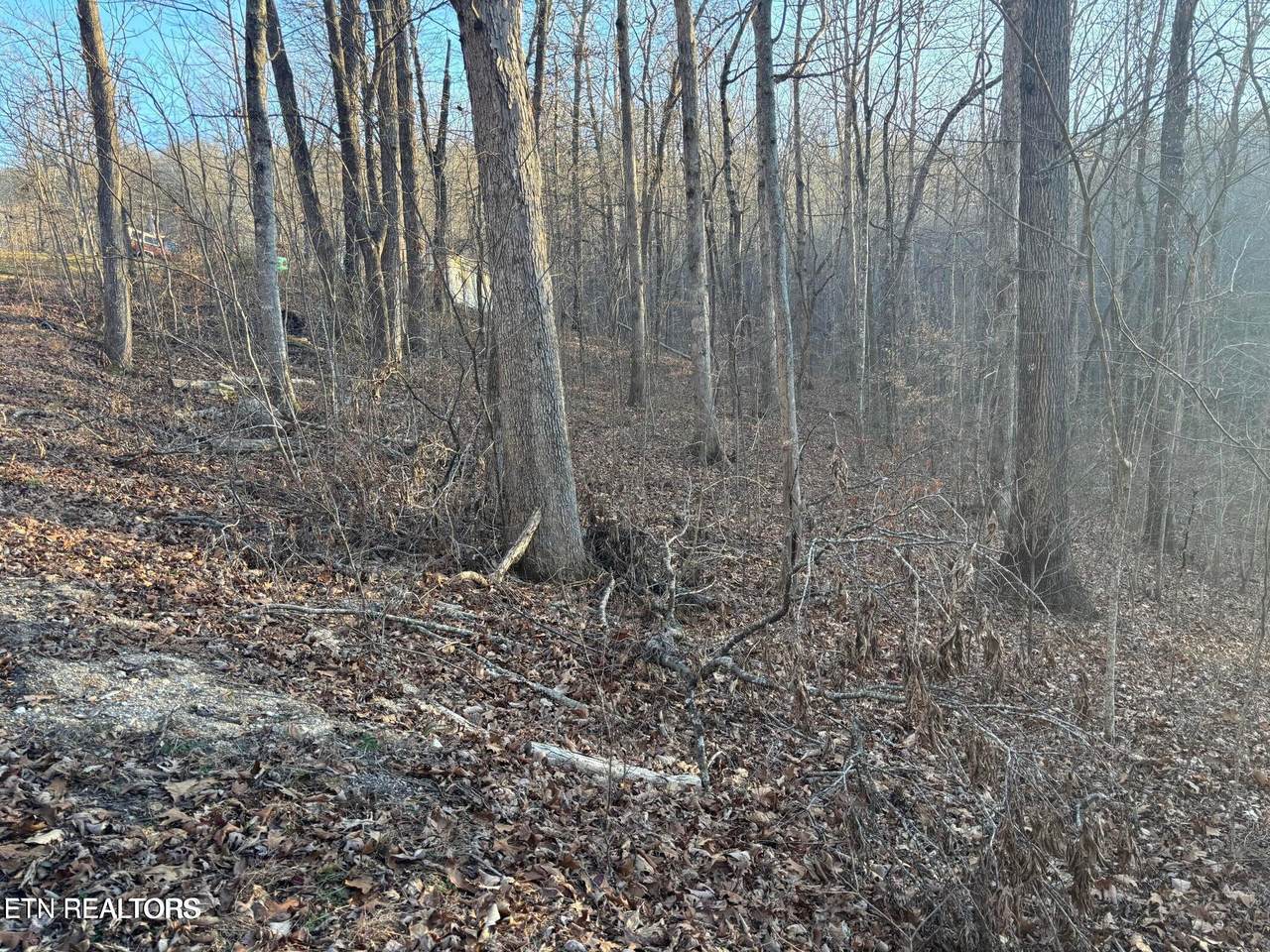  Lake Drive Lane - Photo 1