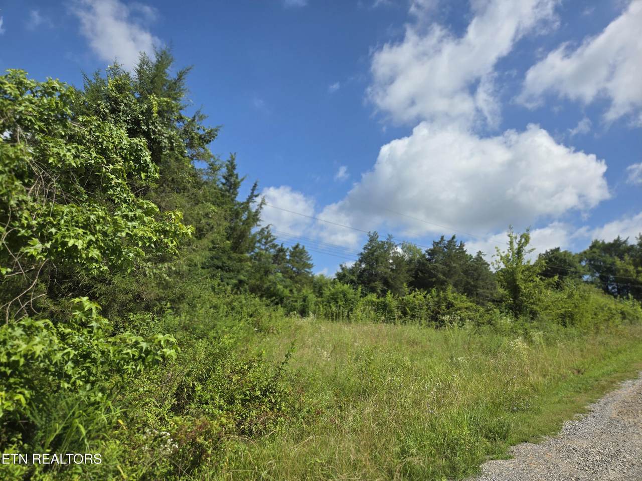 1882 Highway 25-70 - Photo 1