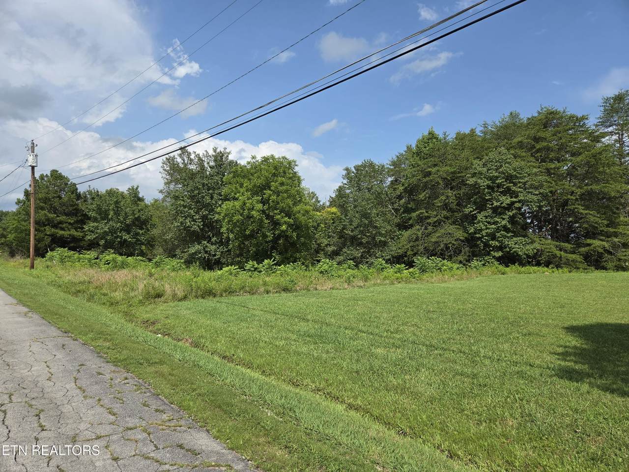  Forest Hills Lane - Photo 1