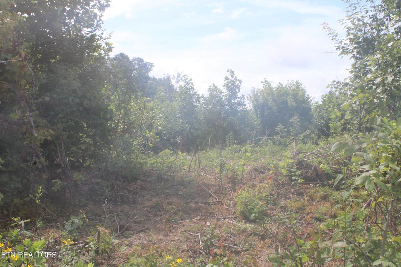 2058 Pickett Park Hwy - Photo 1