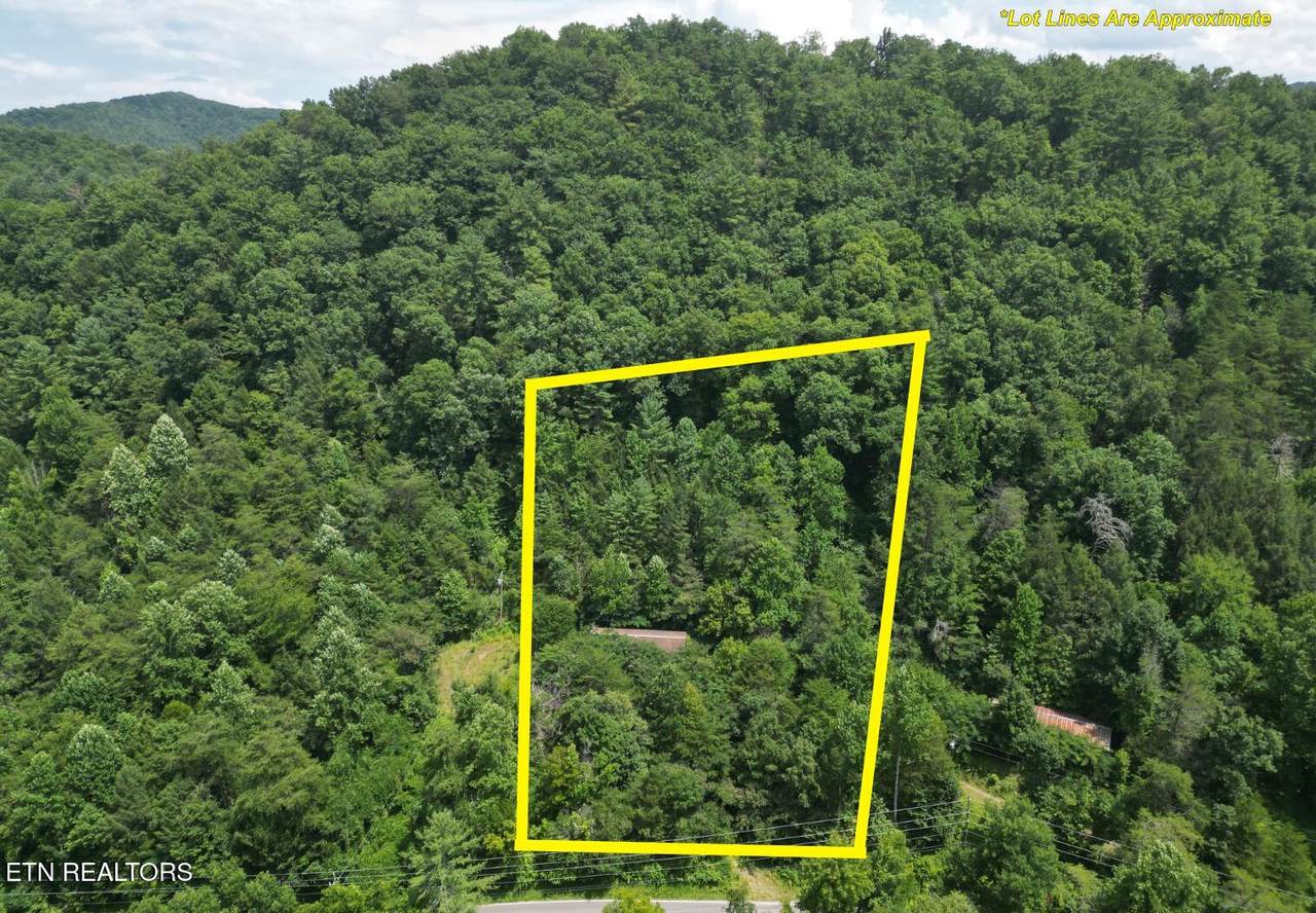 3576 Wilhite Rd - Photo 1