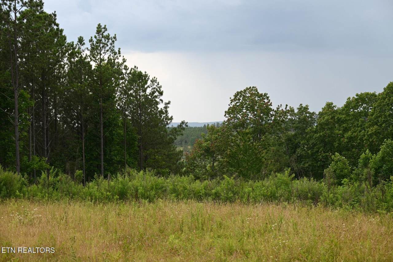 1508 Thomas Springs Rd - Photo 1