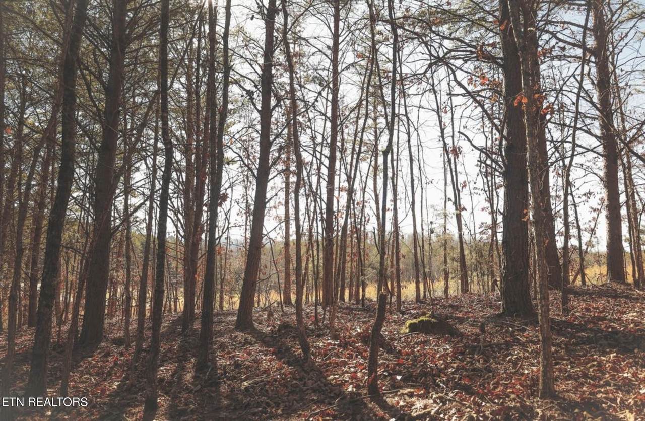  Lot 10 Curtis Rd - Photo 1