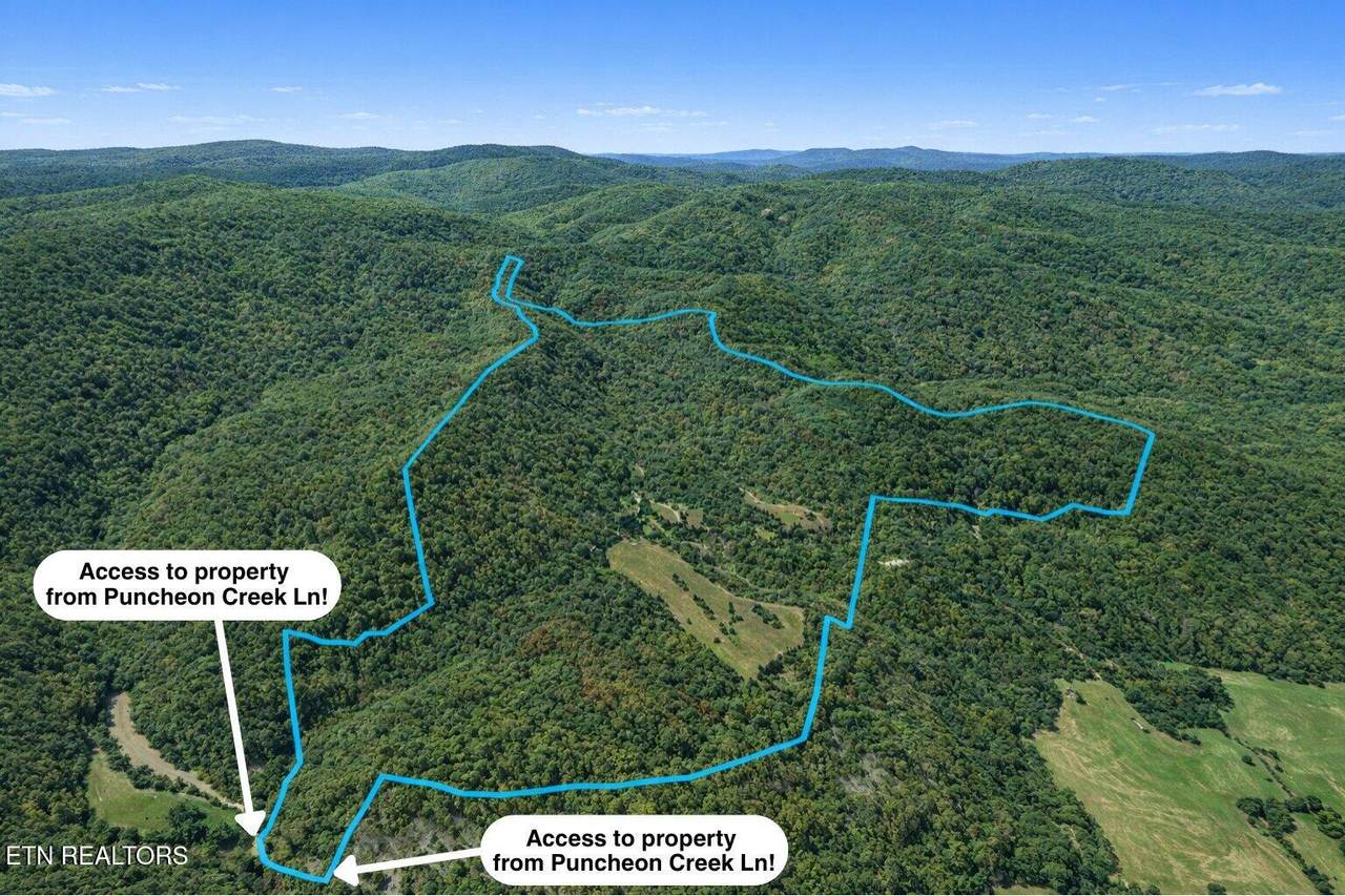700 Acres Puncheon Creek Lane - Photo 1