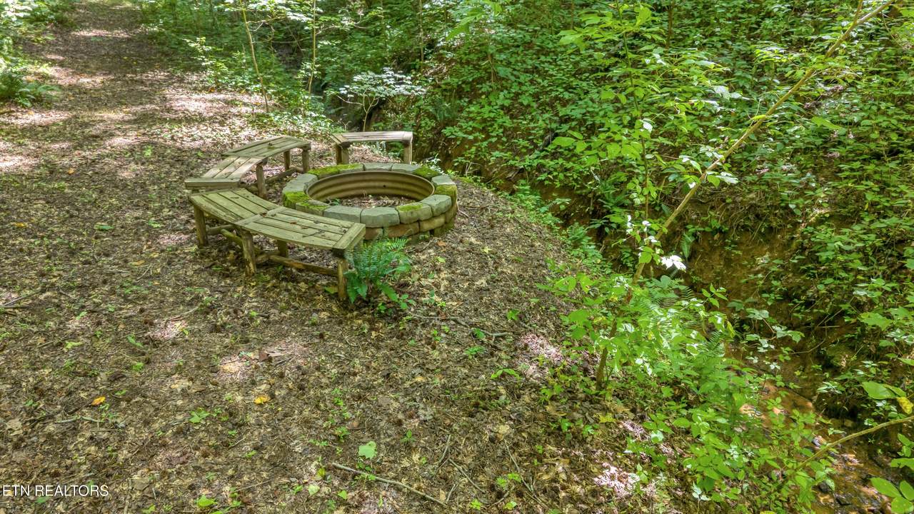 429 Trails End Rd - Photo 1