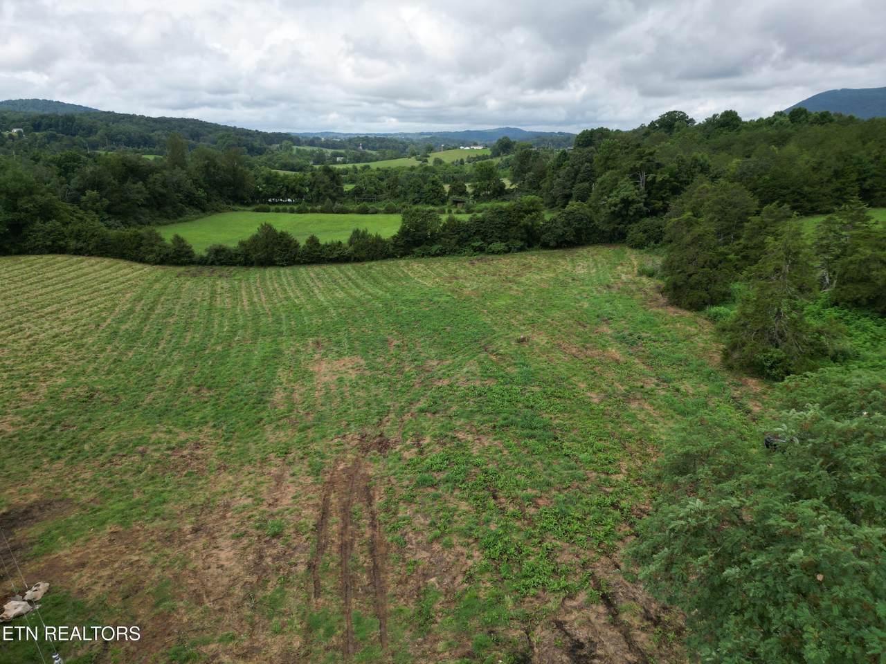 317 Singleton Hollow Rd - Photo 1