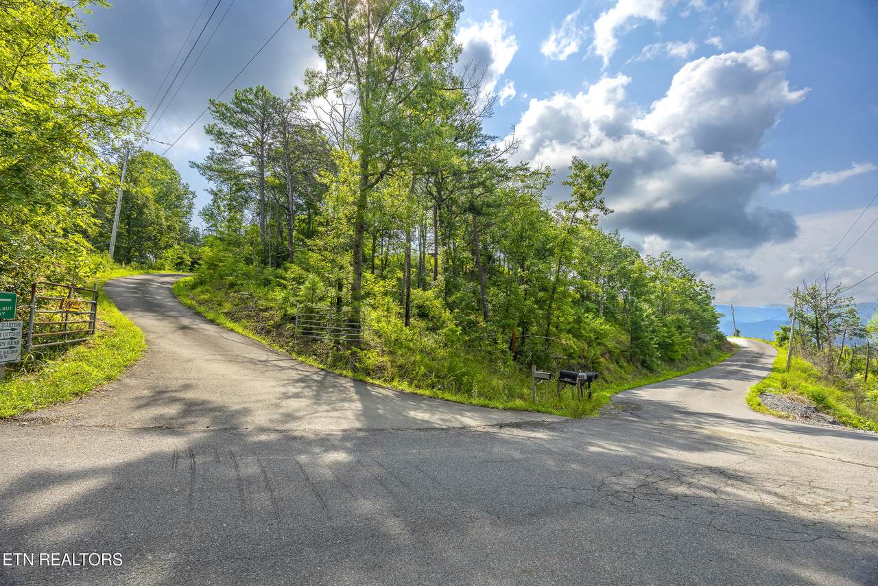  Hatcher Mountain Rd Rd - Photo 1