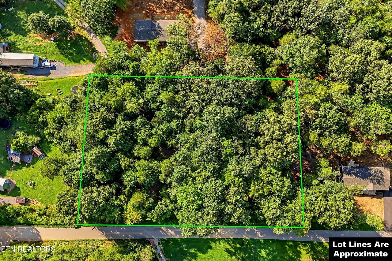 161 Pinecrest Drive - Photo 1
