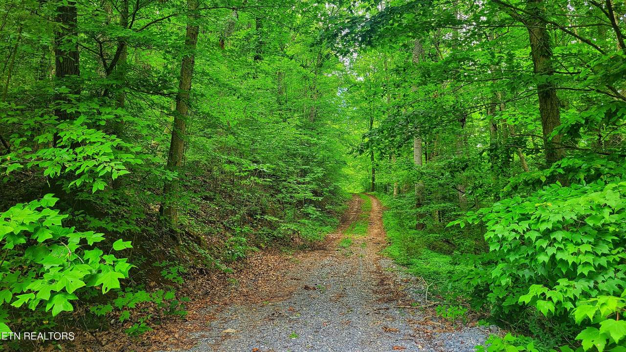 LOT 50 Highway 340 - Photo 1
