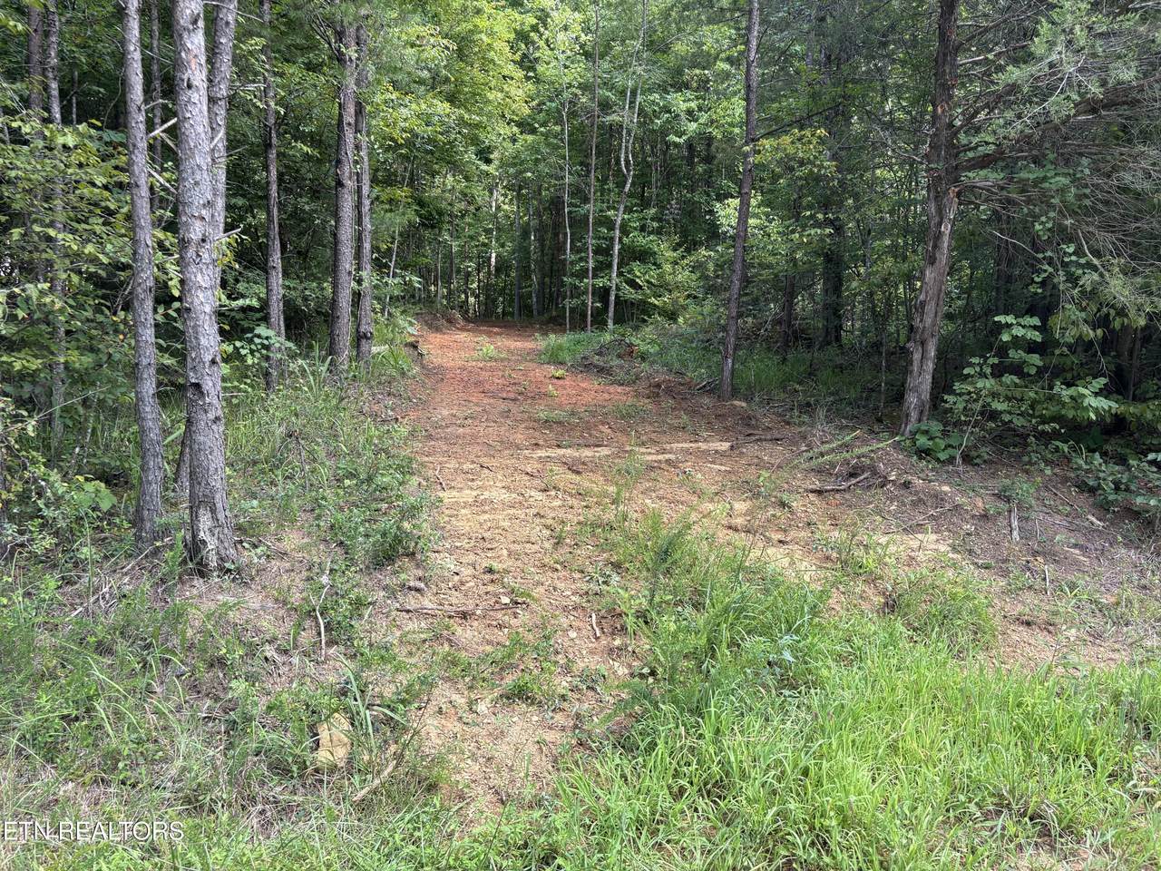 130 Tellico Camp Rd - Photo 1