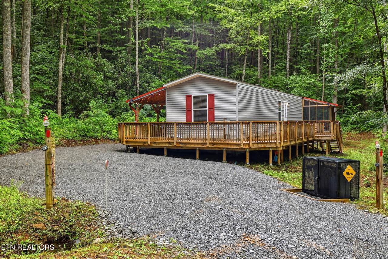 1007 Old Cades Cove Rd - Photo 1