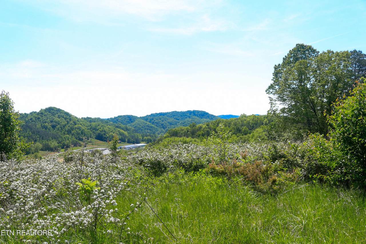 0 Back Valley Rd - Photo 1