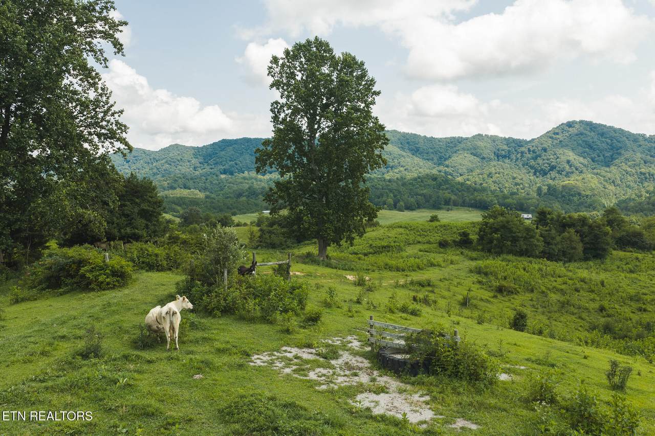 1430 Clinch Valley  (55.55 Acres) Rd - Photo 1