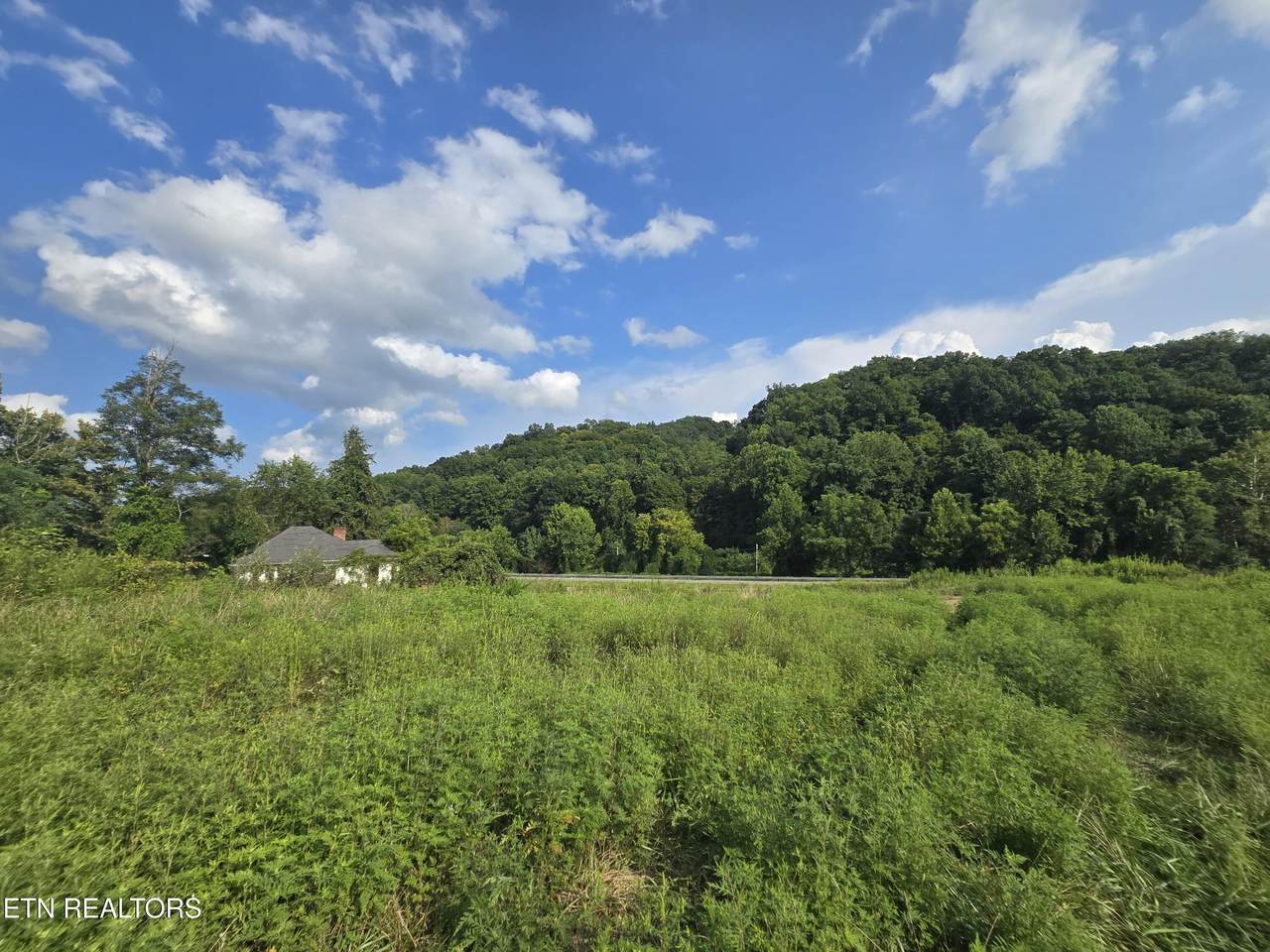 44573 Veterans Memorial Hwy - Photo 1