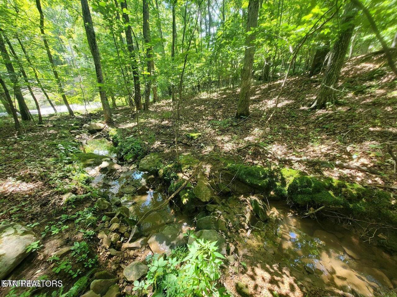  Sugarbush Circle - Photo 1