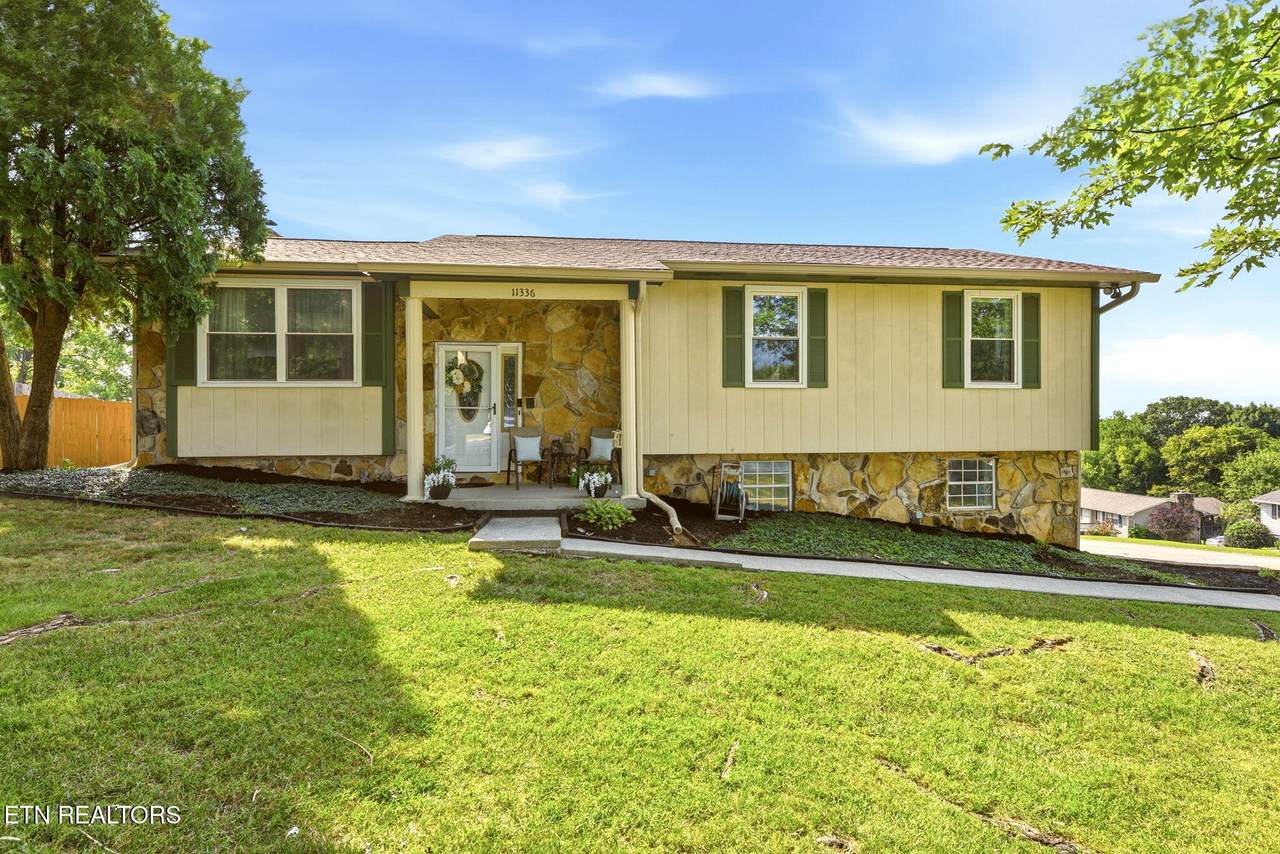11336 Twin View Drive - Photo 1