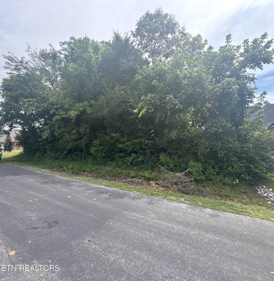 143 Daleyuhski Way - Photo 1