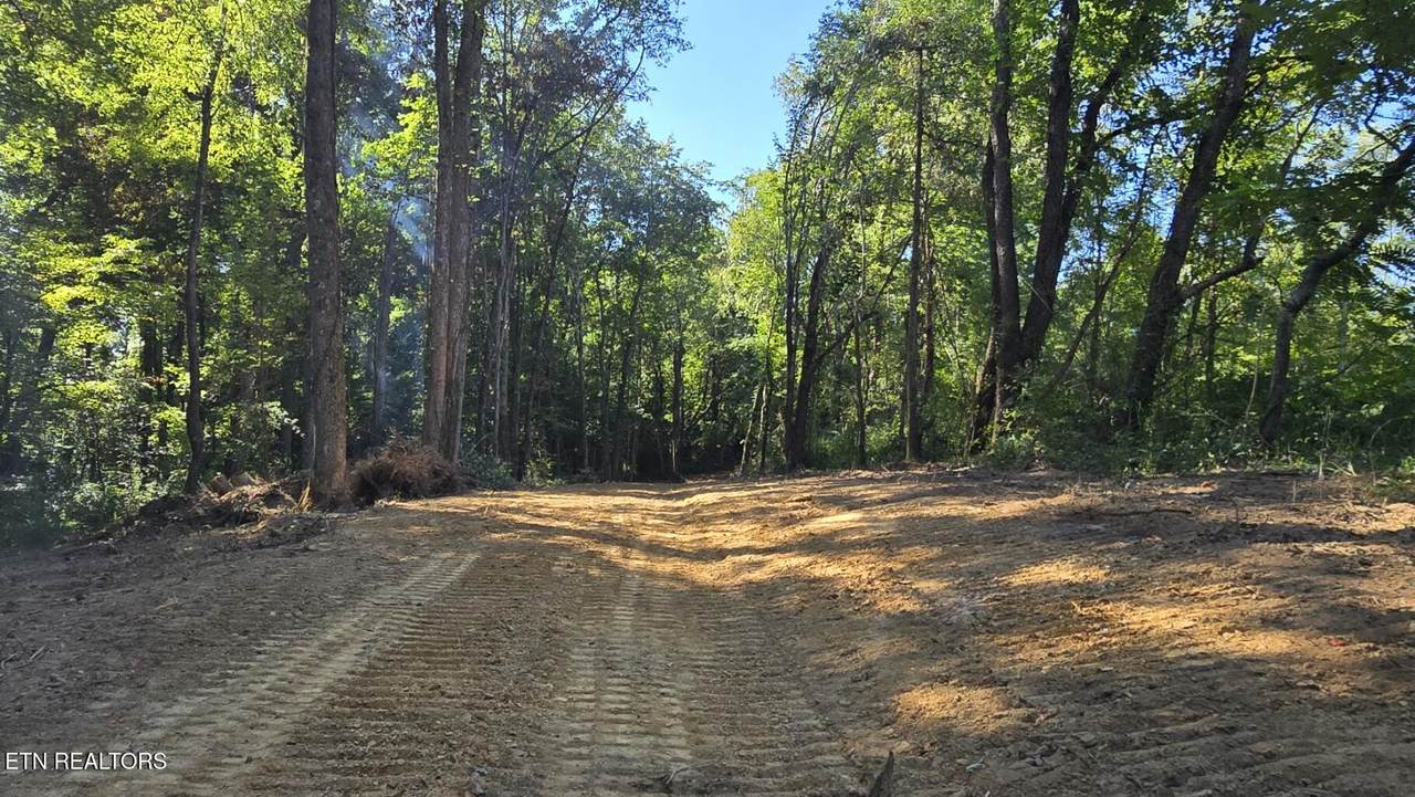  Shady Lane - Photo 1