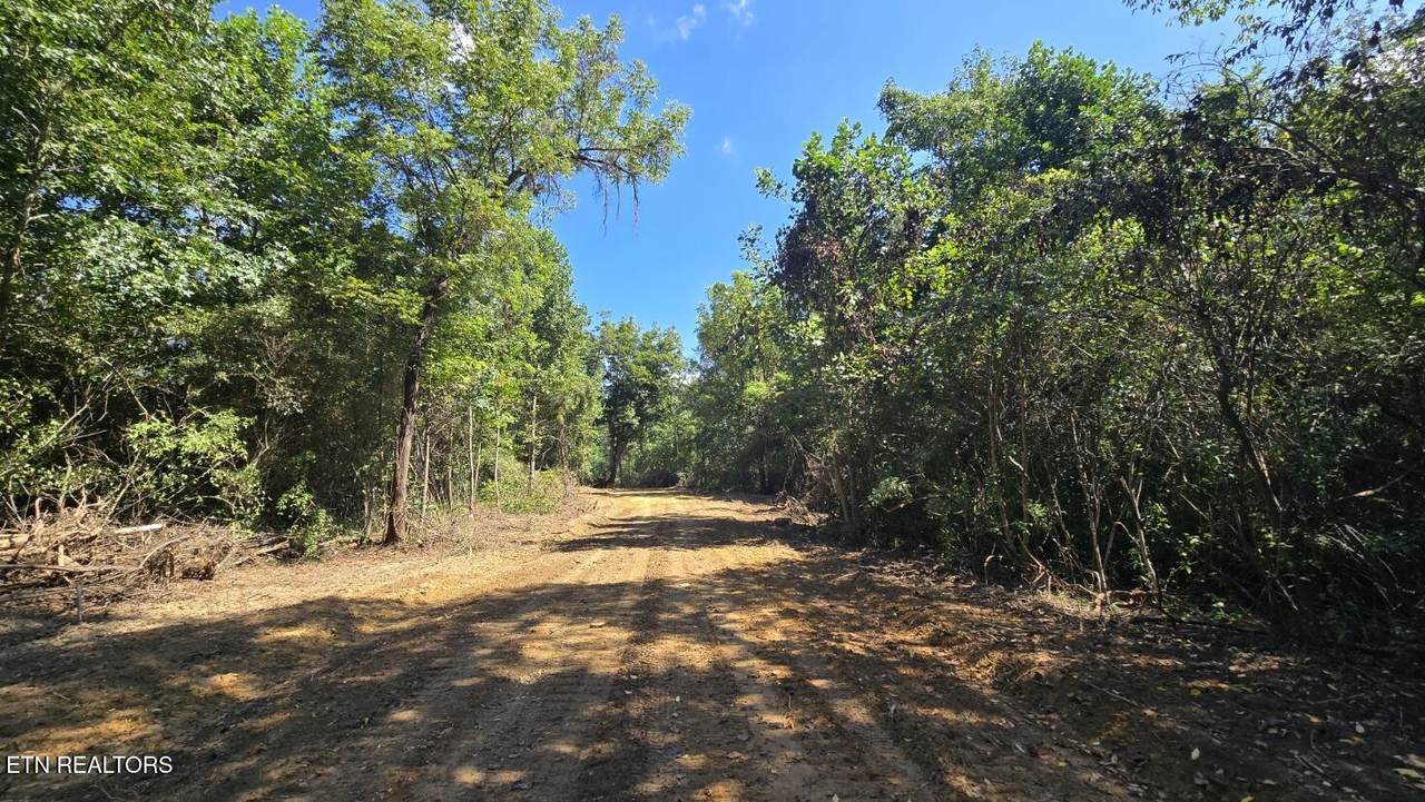 0 New River Rd - Photo 1