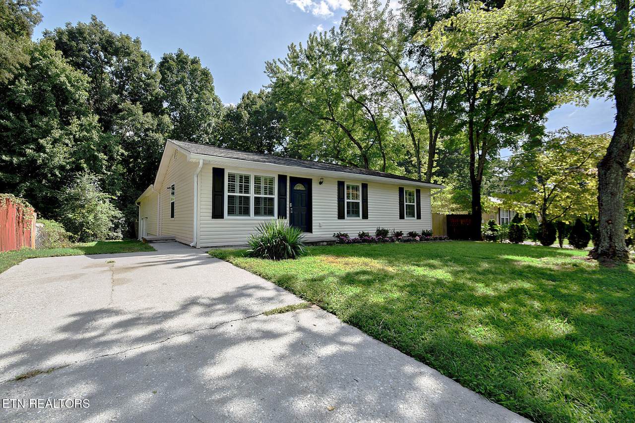5924 Pine Lane - Photo 1
