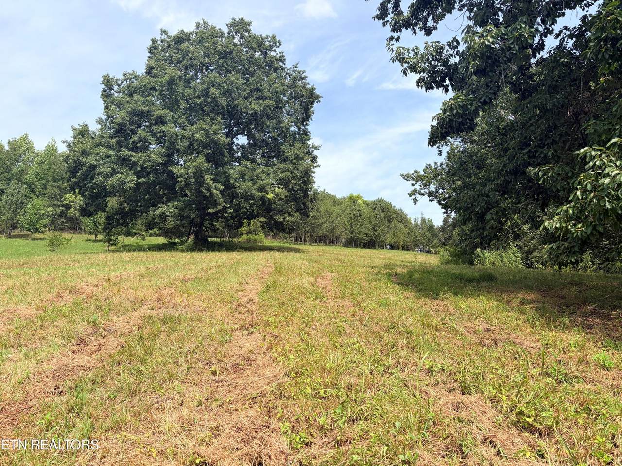 3632 Mountain Vista Rd - Photo 1