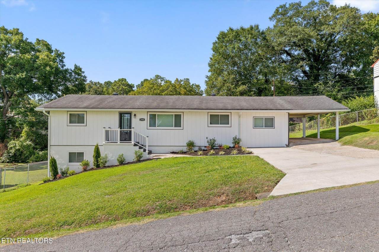 2900 Siener Lane - Photo 1