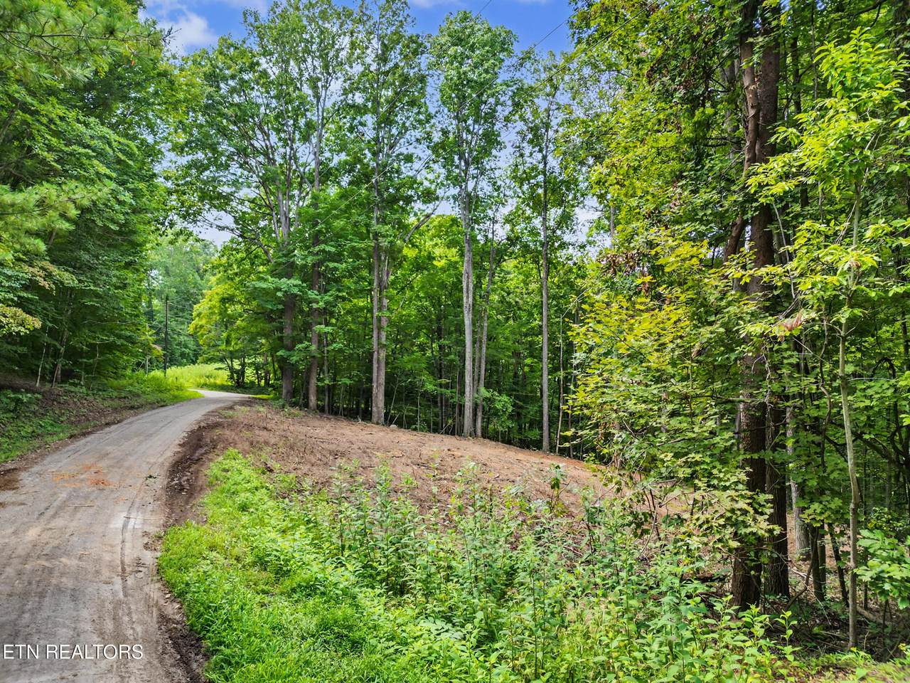  Tumbling Run Estates - Photo 1