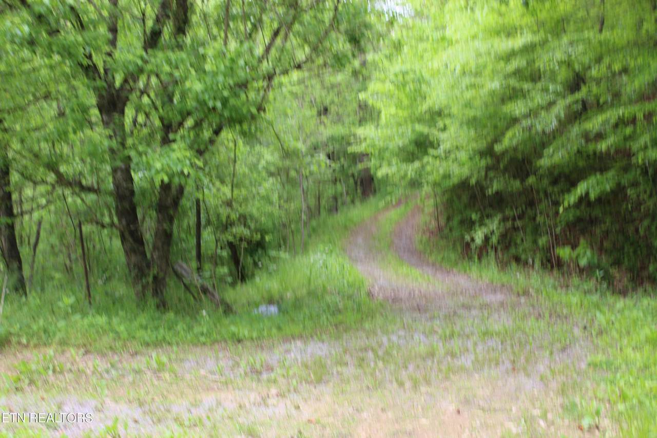  Leatherwood Rd - Photo 1