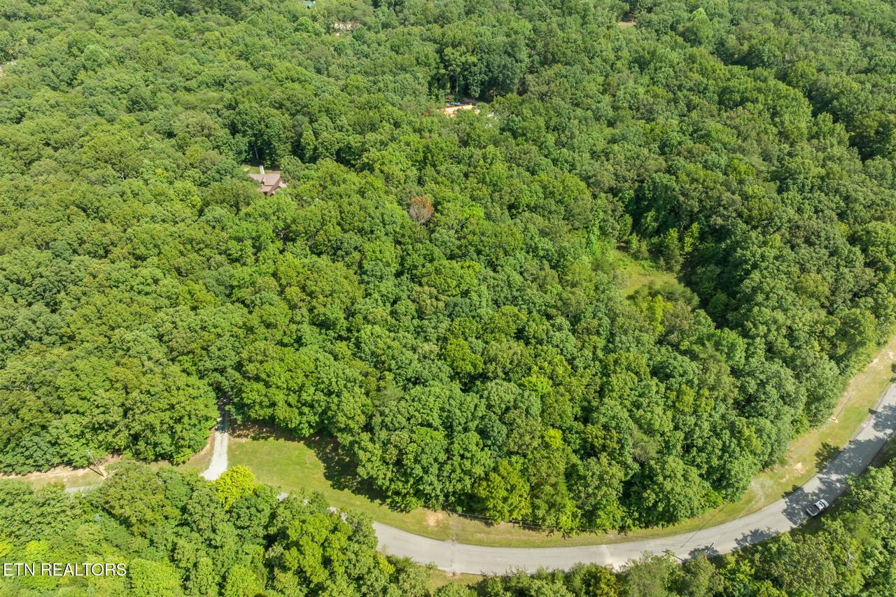 Lot 21 Hawks Bluff Rd - Photo 1