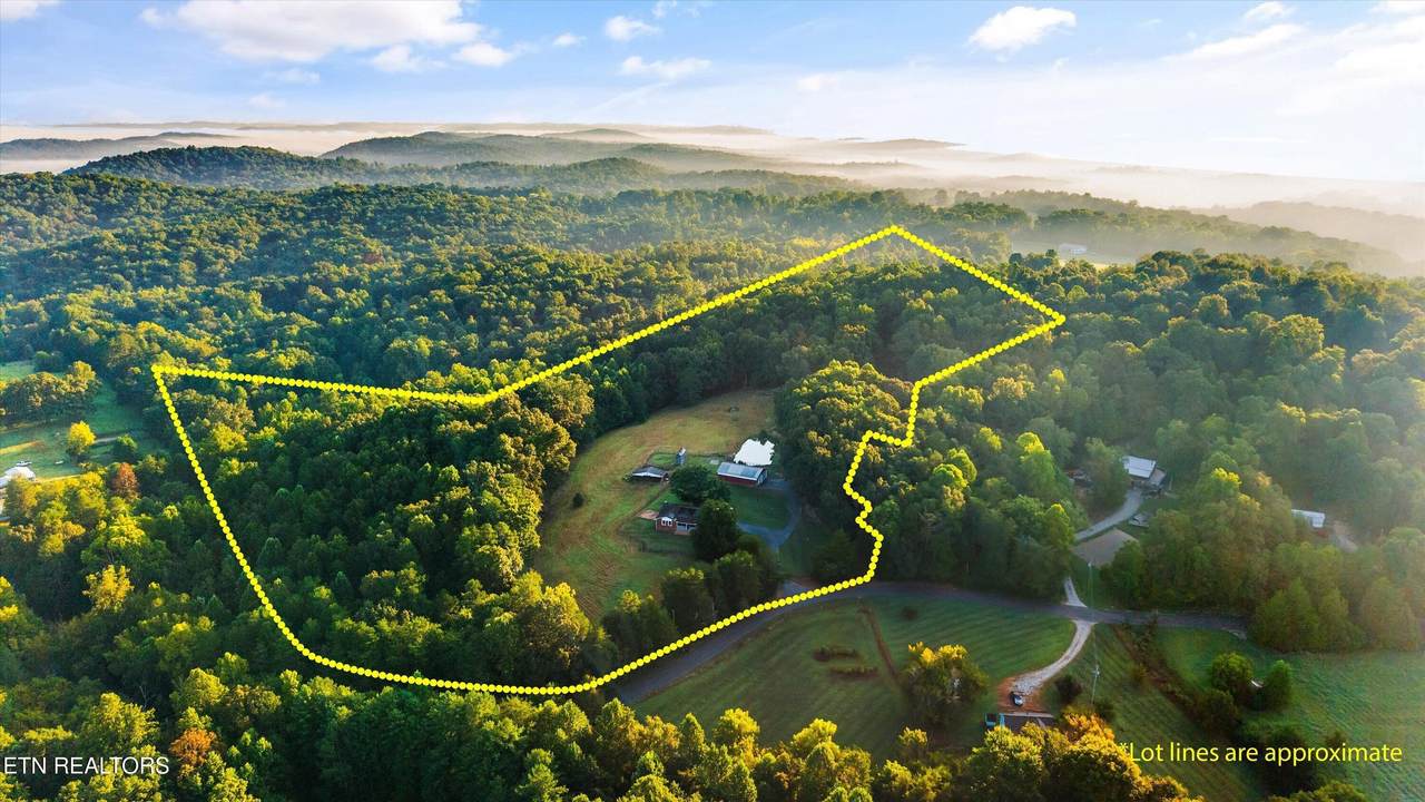 340 Pattie Gap Rd - Photo 1
