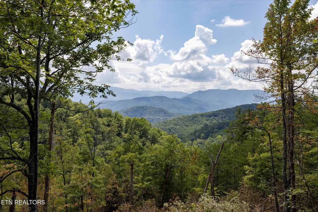 1080 Hembree Hollow Rd - Photo 1