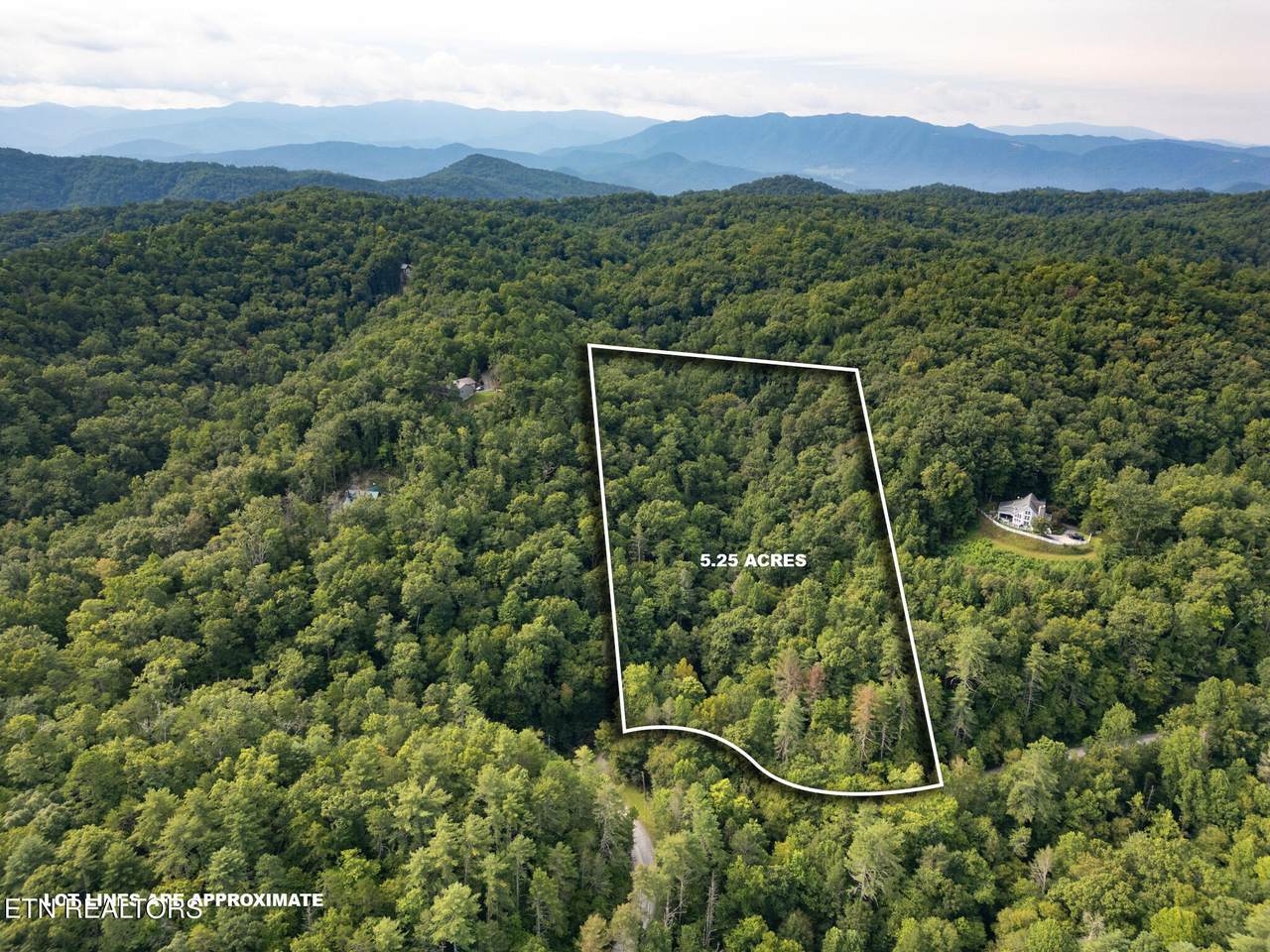  Chilhowee Loop - Photo 1