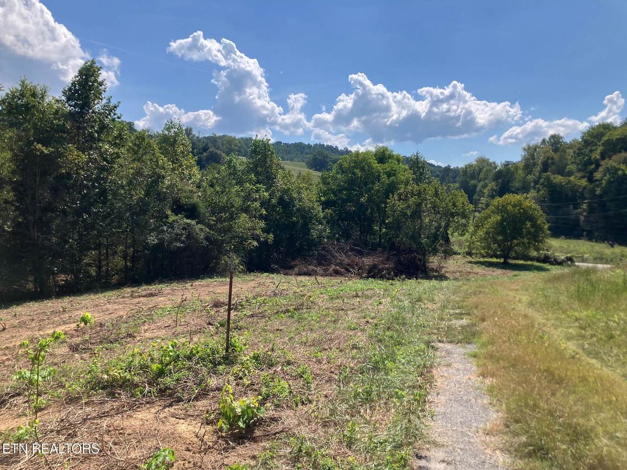 Tract 1 Ousley Gap Rd - Photo 1