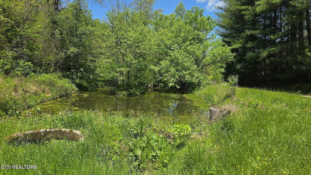 Lot 4-6 Dooley Hollow Rd - Photo 1