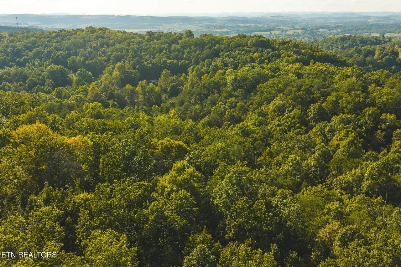 8.62 AC Stone Mountain Rd - Photo 1