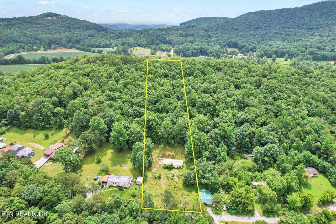 1241 Upper Cove Loop - Photo 1
