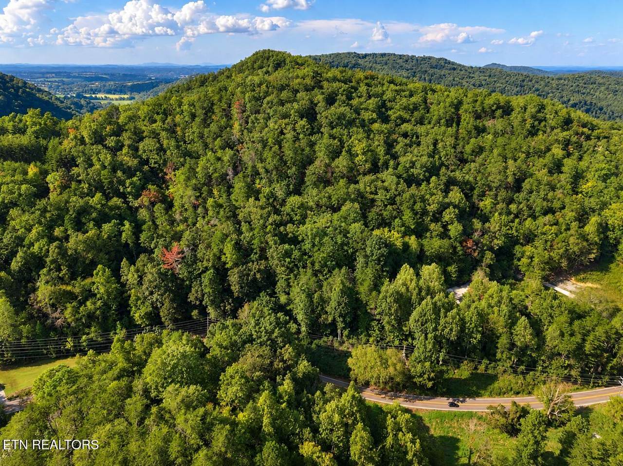 Lot 1 & 2 Pittman Center Rd - Photo 1