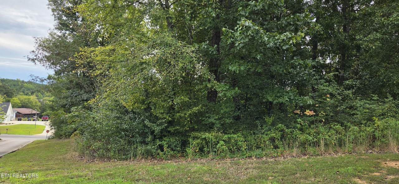 Lot 1 Sugar Maple Court - Photo 1