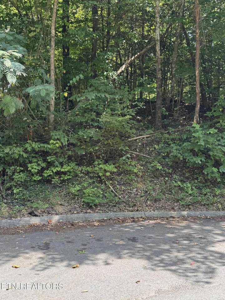  S. B. Ogle Lane - Photo 1