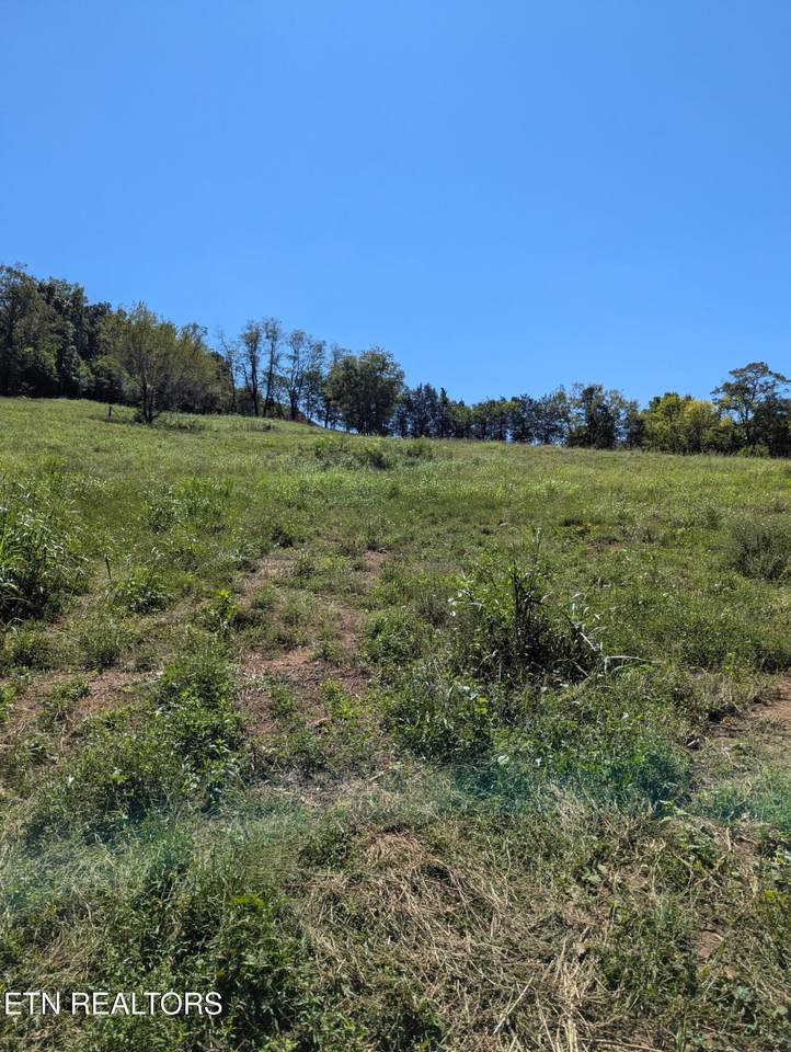 0000 Richland Road Rd - Photo 1