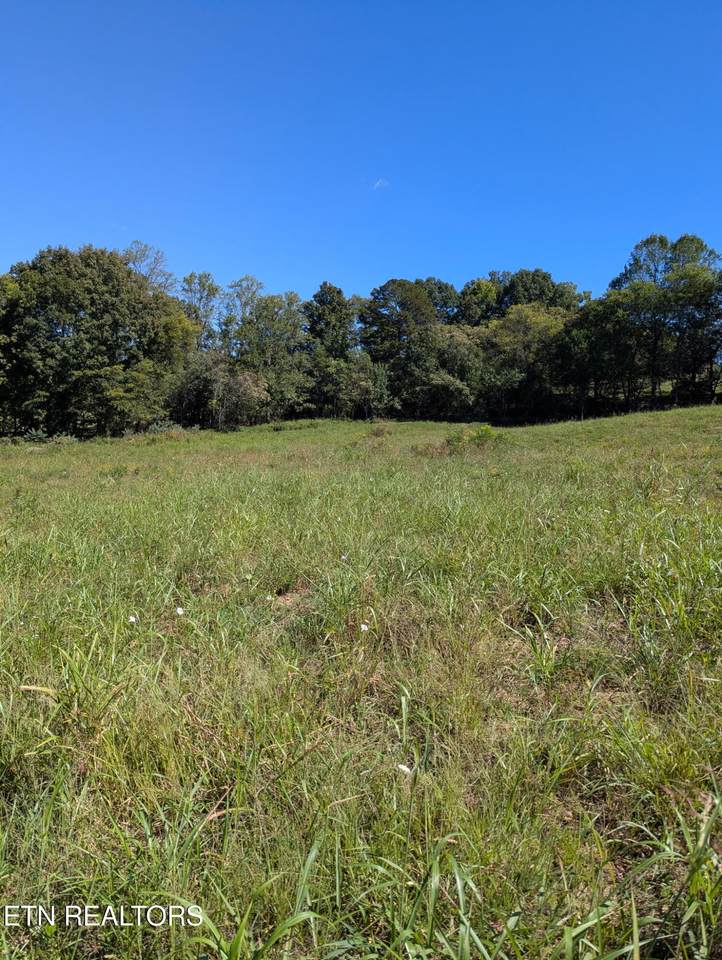 10816 Richland Rd - Photo 1