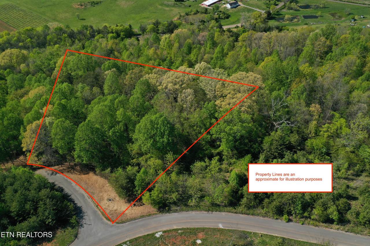 00 Elm Lane Lot 13 Lane - Photo 1