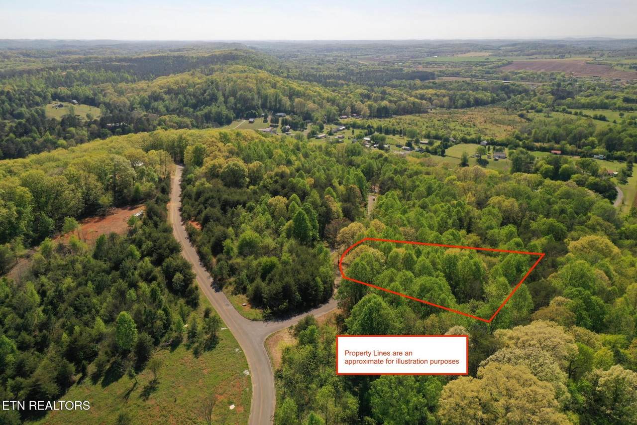 00 Elm Lane Lot 14 Lane - Photo 1