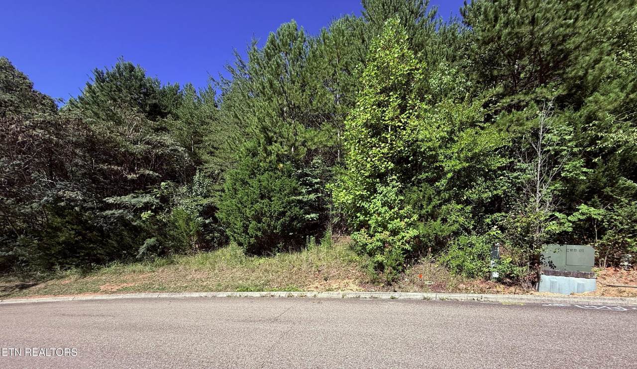 1033 Crown Ridge Lane - Photo 1